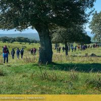 Diputación de Salamanca, Tiempo libre B612, Salamanca, ruta, senderismo, deporte, cultura, turismo, Diputación, montaña, sendero, gente, grupo, camino, caminar, Salandar, Naturaleza, vegetación, Naturaleza escondida, Frades de la Sierra, Endrinal, Monleón, entresierras, encinas, Sierra de Francia, Reserva de la Biosfera de las Sierras de Béjar y Francia, patrimonio, GR-181