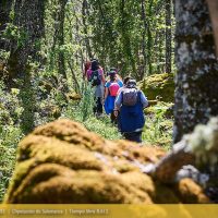 Tiempo Libre B.612 - Naturaleza Escondida - Diputación de Salamanca